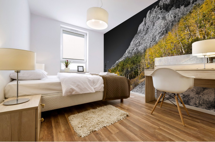 Monarch Pass Waning Gibbous Moon Selective Mural print