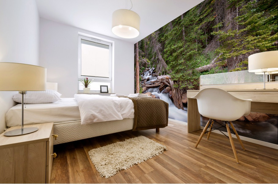 Rocky Mountains Stream Scenic Landscape Mural print