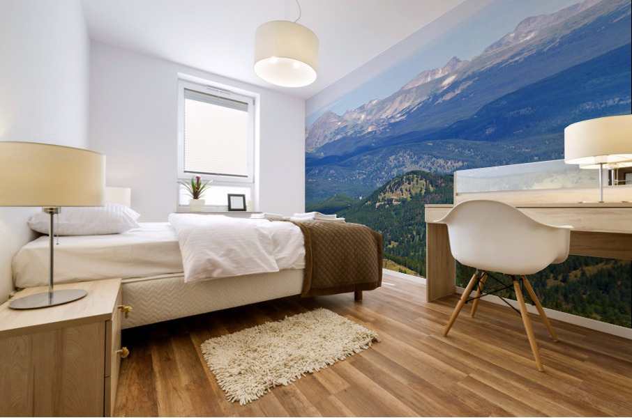 Colorado Continental Divide 4 of 5 Mural print