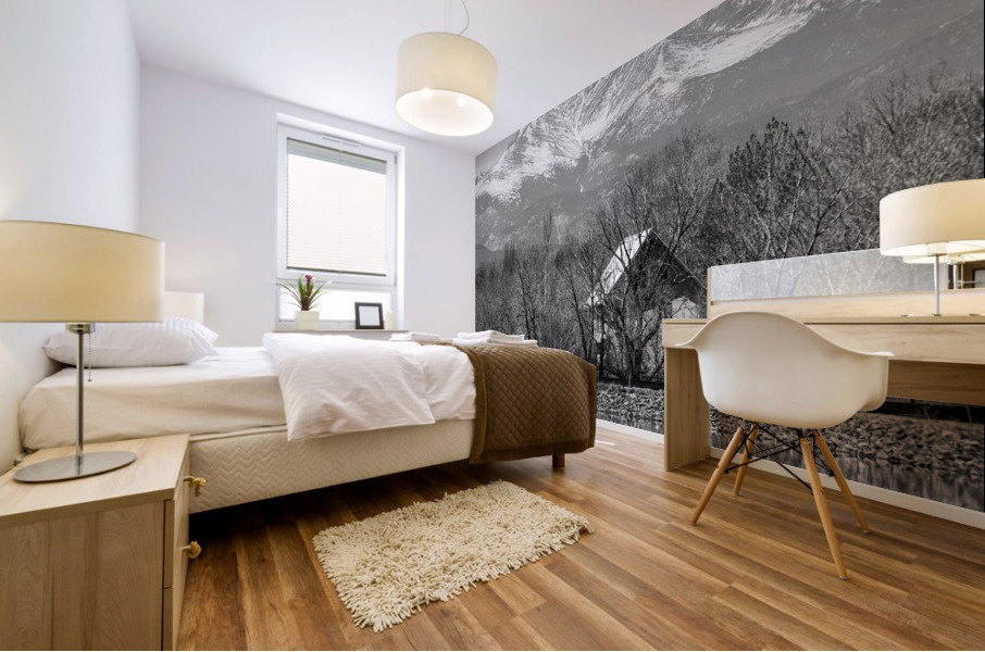 St Vrain Ponds Longs Peak View In Black and White Mural print