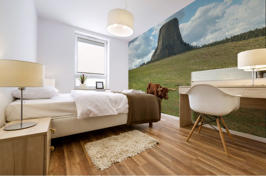 Longhorn Cow Posing at Devils Tower in Wyoming - First US Nation Mural print