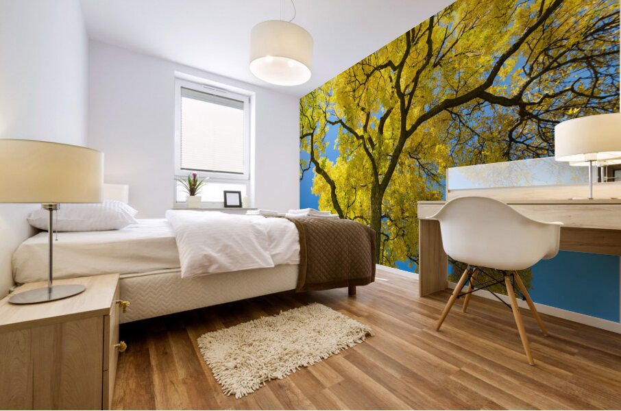 Golden Majesty - A Cottonwoods Radiant Reverie Mural print