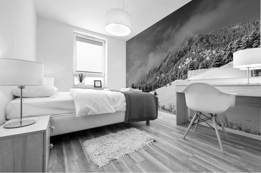 Boulder Colorado Flatirons April Snow In Black and White Mural print