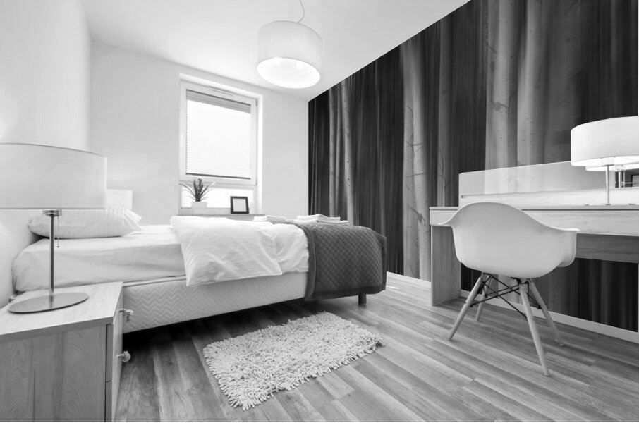 Aspen Trees Dreaming Black and White Abstract Mural print