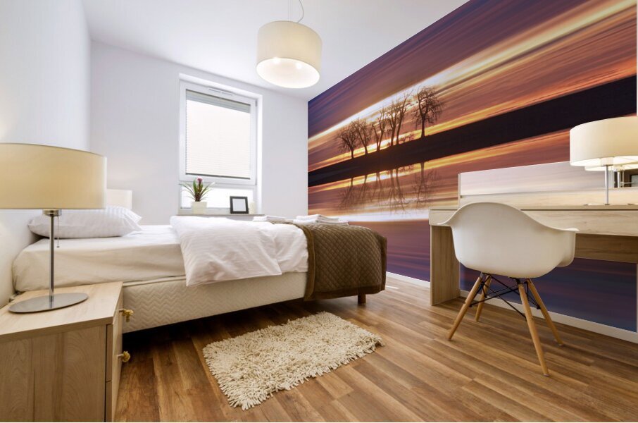 Close Encounters Four Mural print