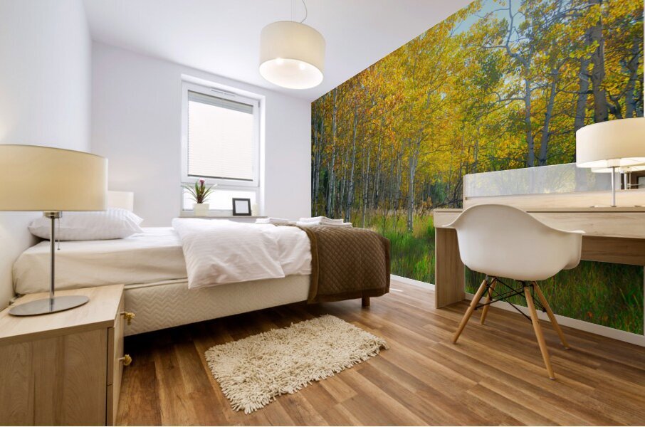 Golden Aspens & Green Dreams Natures Autumn Meadow Mural print