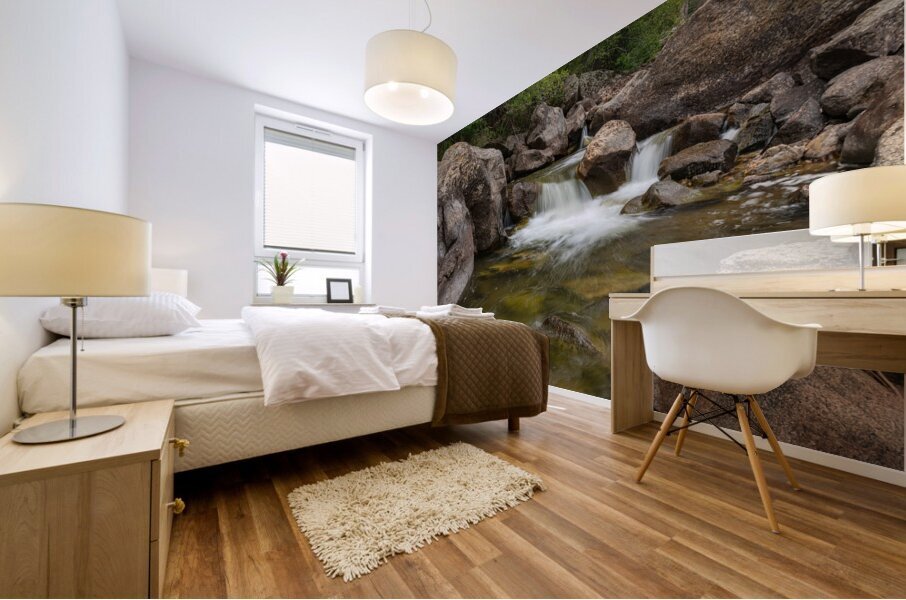 Boulder Canyon Paradise Mural print