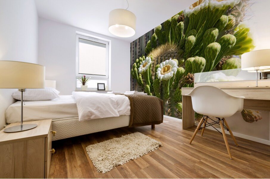 Saguaro Cactus Bloom Mural print