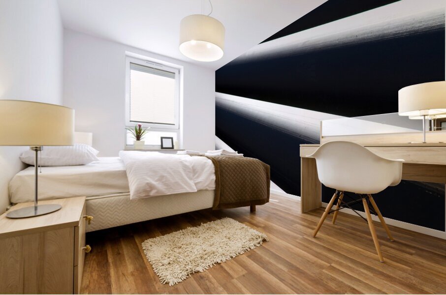 Shadow and Light  1 Mural print