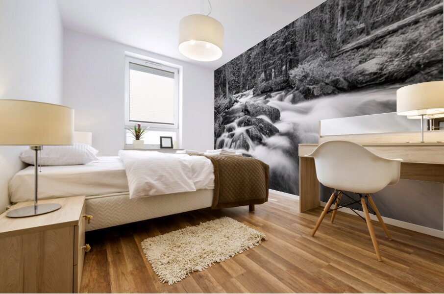 Roosevelt National Forest Stream Mural print