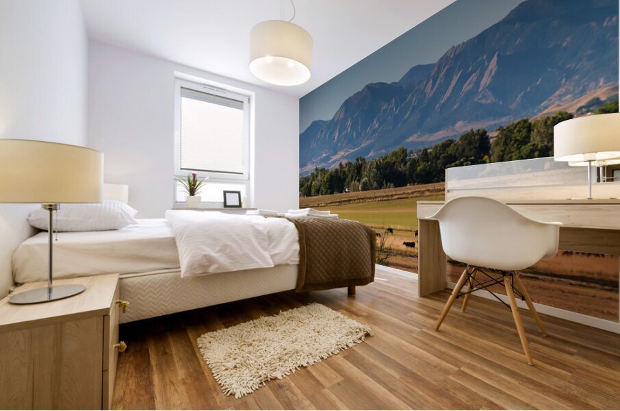 Boulder Flatirons and Cows Mural print