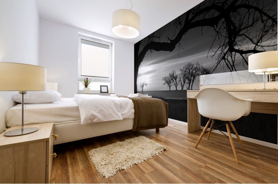 Whispers of Trees and Meadows at Sunrise in Black and White Mural print