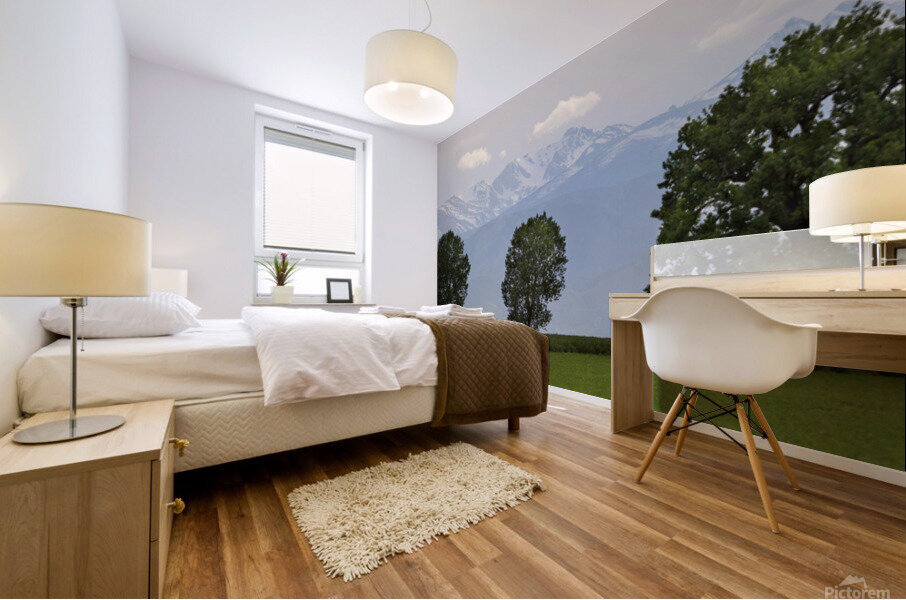 Boulder County CO Panorama1 Mural print