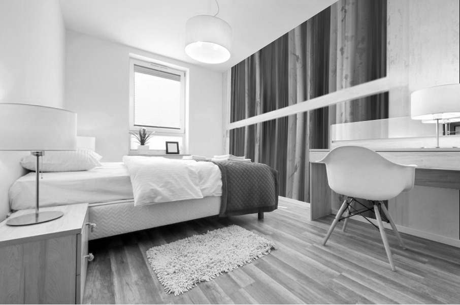 Surreal Dreamy Aspen Forest White Rustic Window Mural print