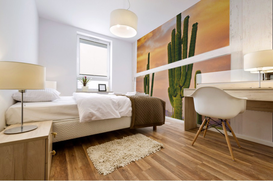 Southwest Desert Sunset View White Window Mural print