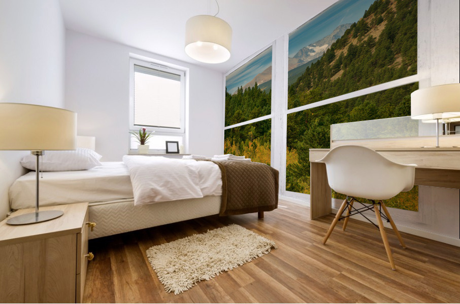 Rocky Mountain Whitewash Picture Window View Mural print