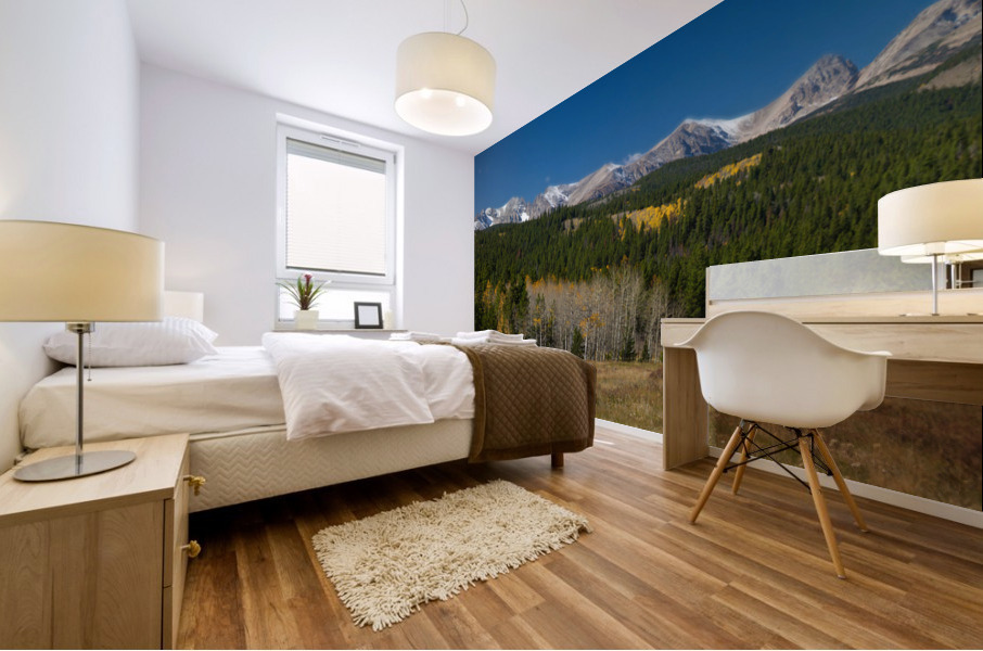 Indian Peaks Continental Divide Boulder Count Mural print