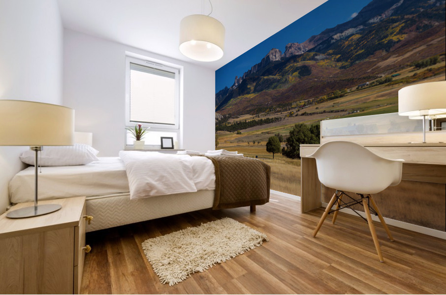 Telluride Panorama 2 Mural print