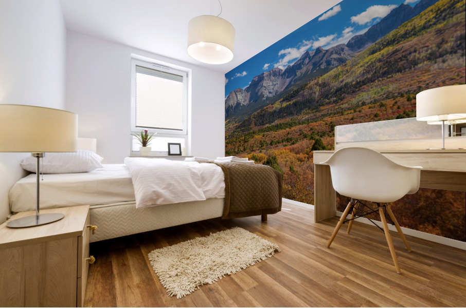 Telluride Panorama 2a 1 Mural print
