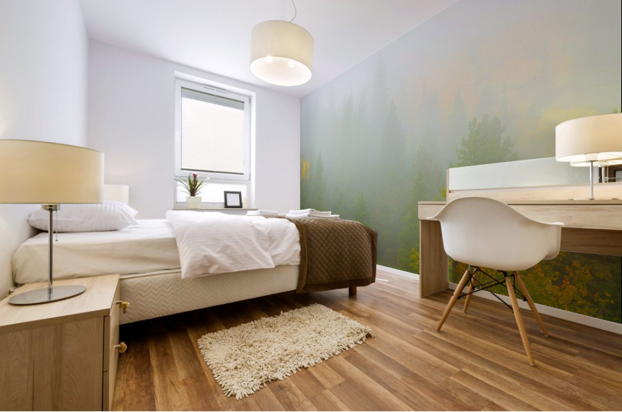 Color in the Clouds Mural print