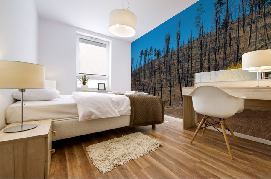 Forest Evolution Mural print