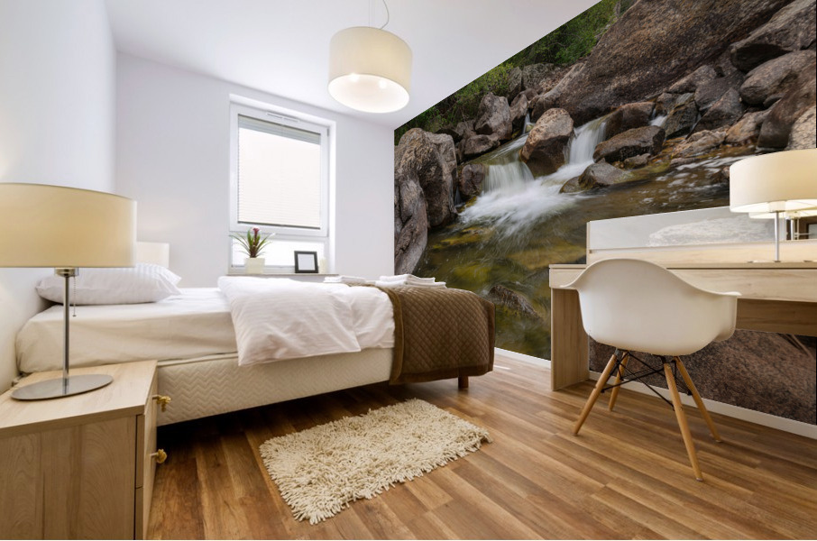 Boulder Canyon Paradise Mural print
