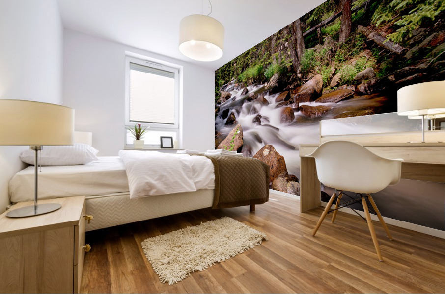 Cascading Rocky Mountain Forest Creek Mural print