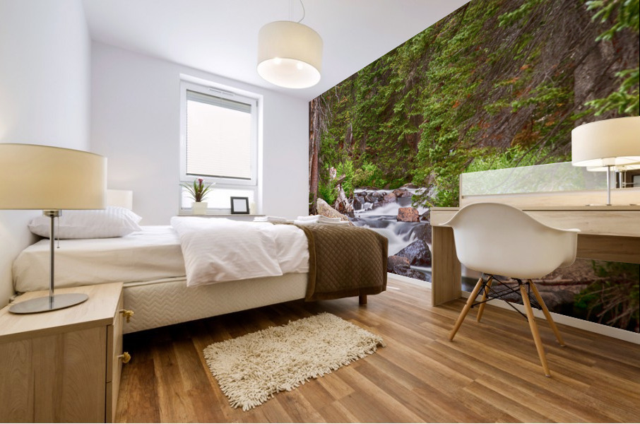 Mountain Stream Mural print