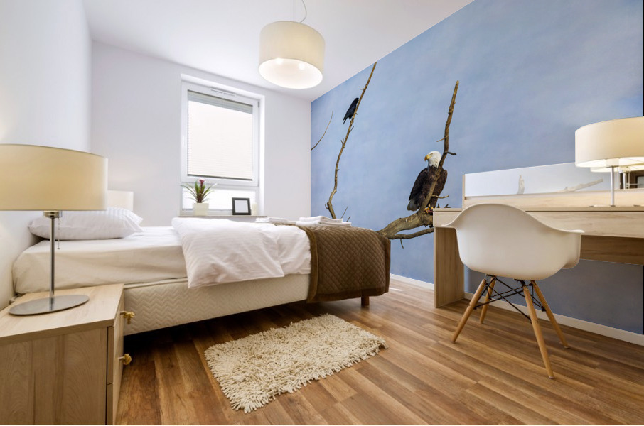 Bald Eagle Crow Mural print