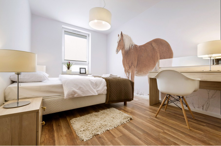 Smiling Palomino Snow Mural print