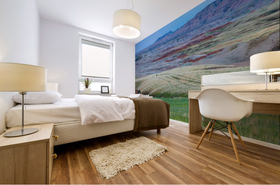 The Majestic Bison -  Roaming the Colorful Badlands of SD Mural print