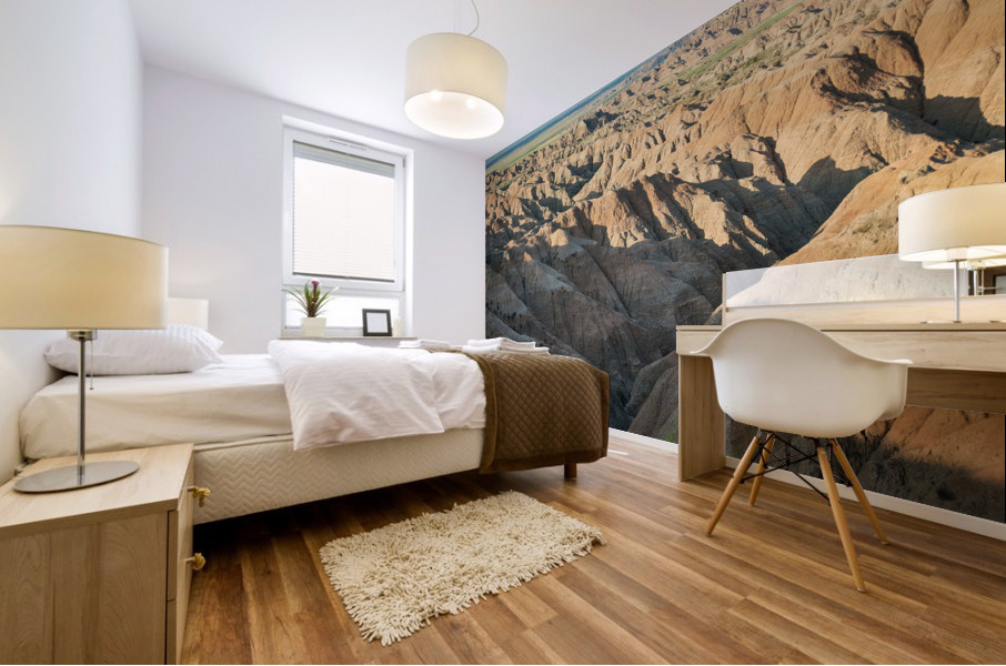 Natures Elegy Badlands Canyons Cracks and the Dance of Shadows Mural print