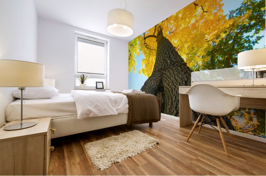 Golden Autumn Tree - Majestic Trunk and Leaves in Fall Splendor Mural print