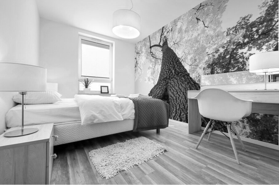 Monochrome Tree Art -  Majestic Trunk and Leaves in Fine Detail Mural print