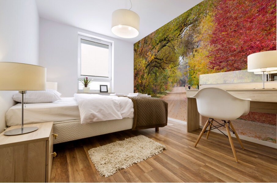 Autumns Country Retreat - A Canopy of Color Impression murale