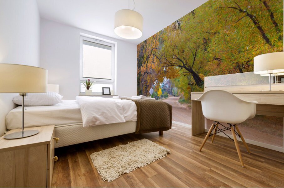 Autumns Enchantment - The Country Road Canopy Mural print