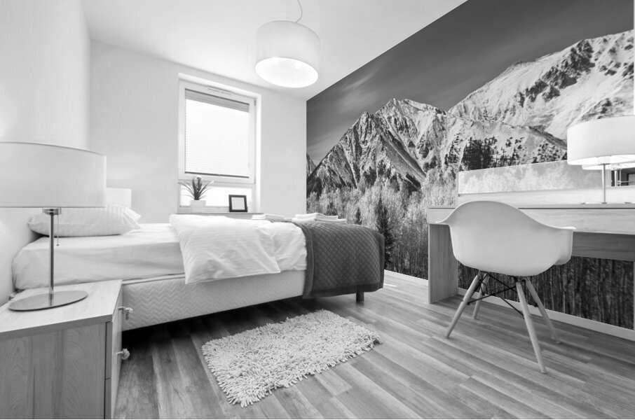 Rocky Mountain Autumn High In Black and White Mural print