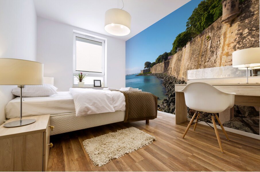 Historic Walls the Essence of San Juan Puerto Rico Mural print