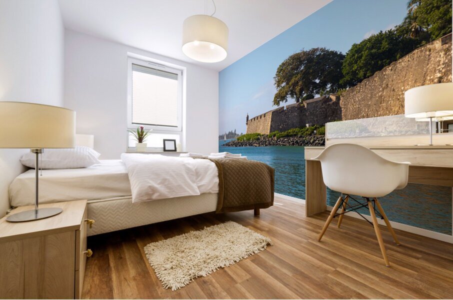 Coastal Beauty of San Juan Puerto Rico Mural print