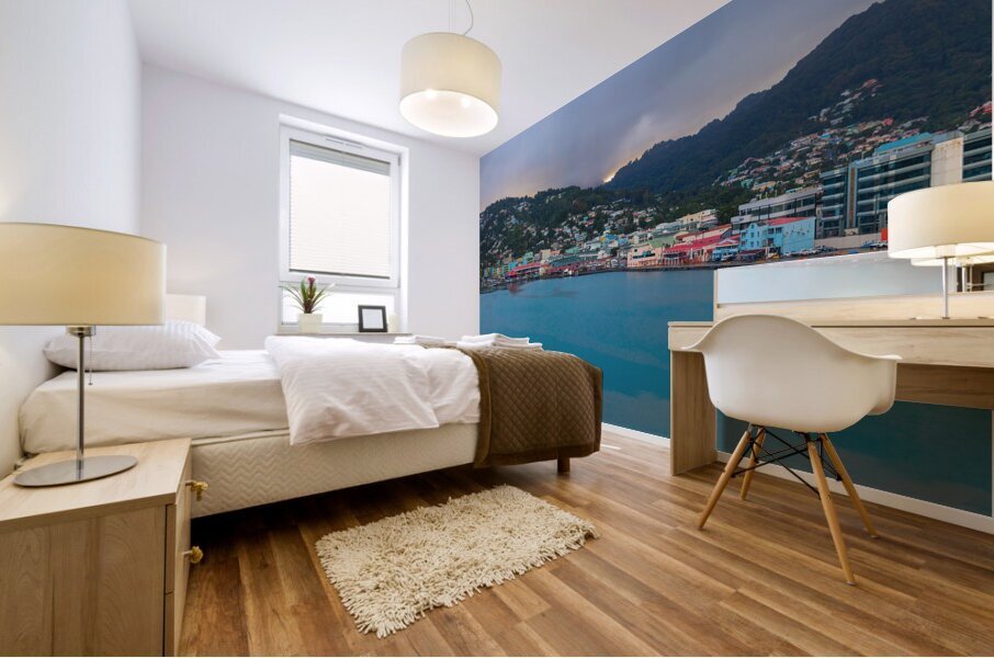 Saint Lucia Castries Panorama Part 2 Mural print