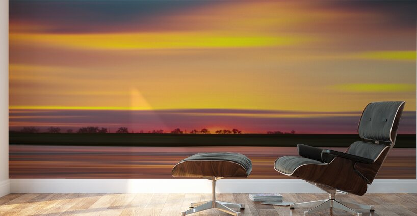 Colorful Tree Line Wall Murals