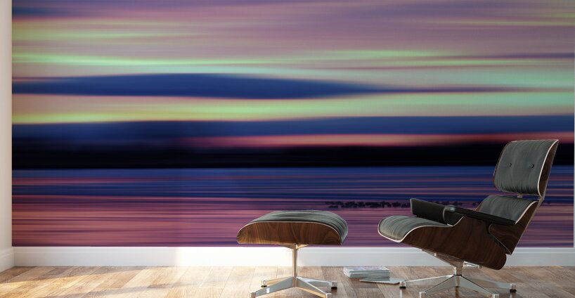 Good Morning Geese Wall Murals