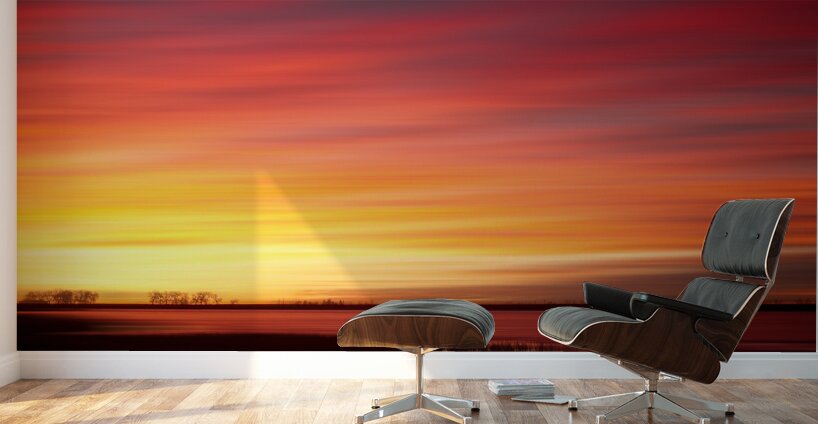 Sunrise Union Wall Murals