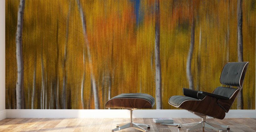 Sunny Colorful Aspen Tree Mix Wall Murals
