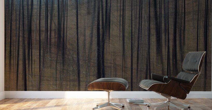 Aspen Forest Fire Abstract Wall Murals