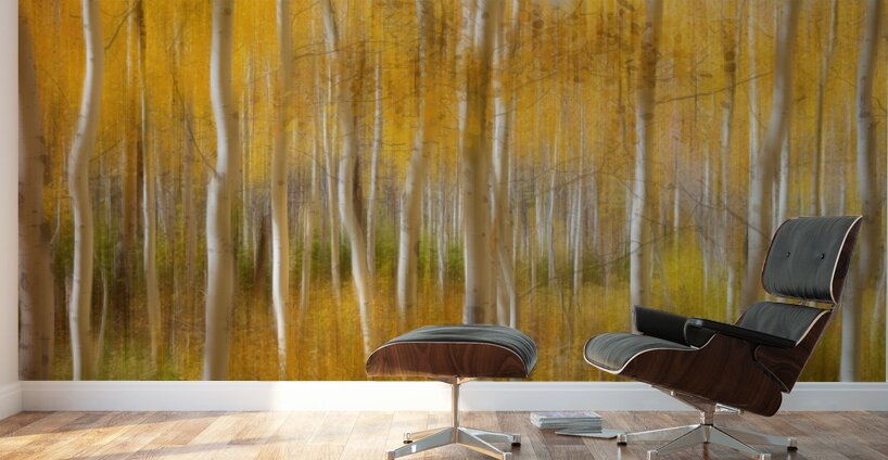 Golden Forest Moment Abstract Wall Murals