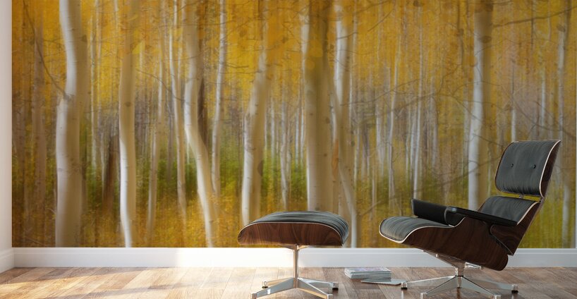 Golden Forest Moment Abstract Panorama Wall Murals