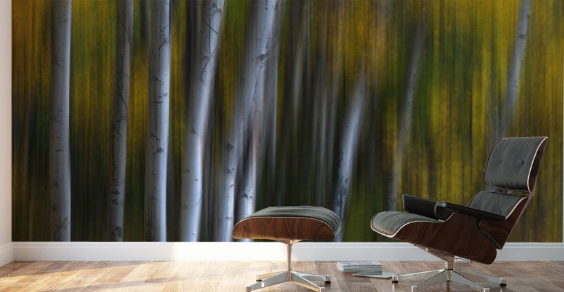 Forest Wilderness Wonderland Abstract  Photo Art Wall Murals