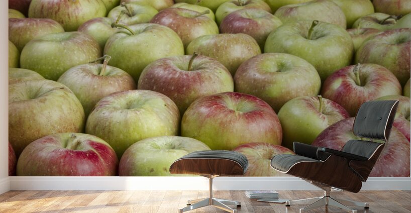 How about Them Apples Wall Murals