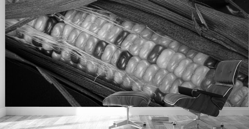 Indian Corn Black and White Wall Murals